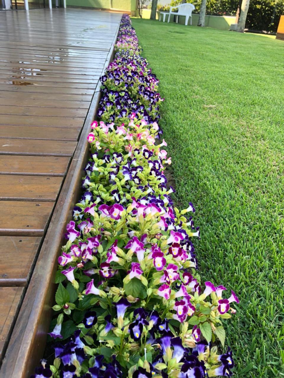 Posada Suenos De Verano Hotel ฟลอเรียนอโปลิส ภายนอก รูปภาพ